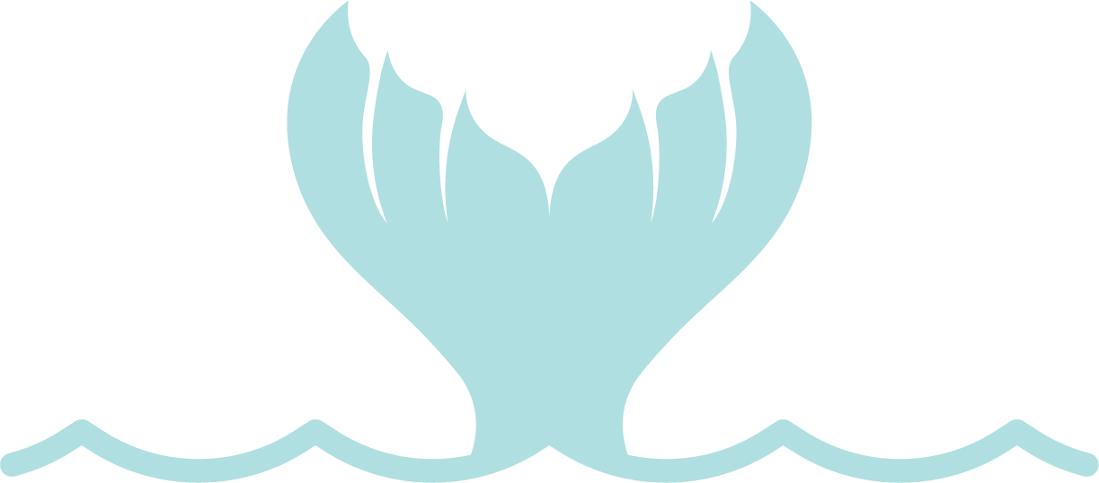 Bkd-logo-0823_symbol aqua Branding visuals