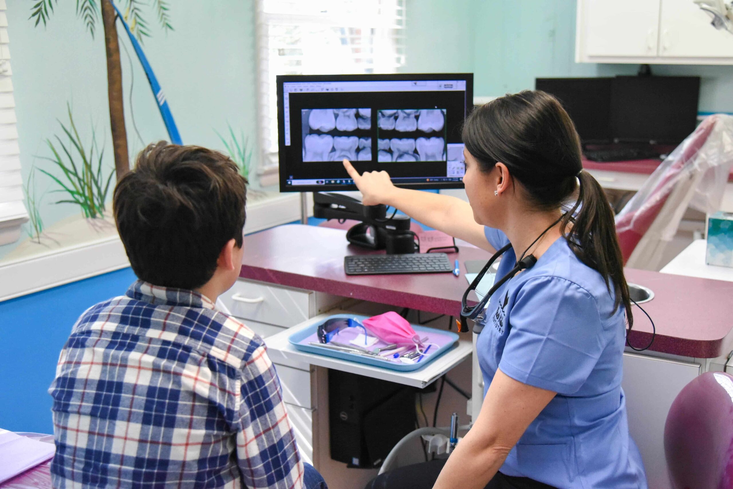 Dr homes showing patient xray screen dental crowns
